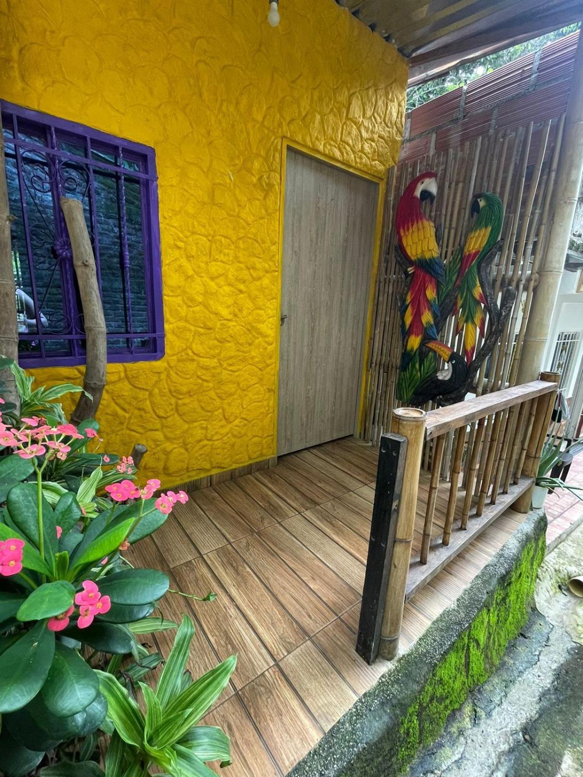 Apartament La Cabanita Vip Minca Zewnętrze zdjęcie